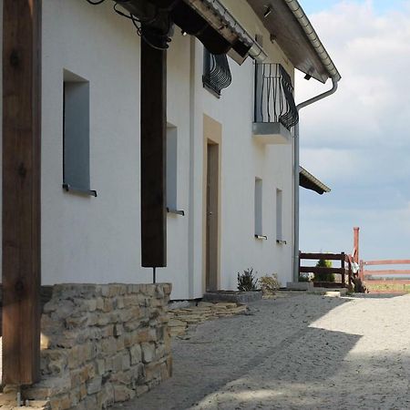 Вилла Ranczo- Czarnocin Olszowa Экстерьер фото