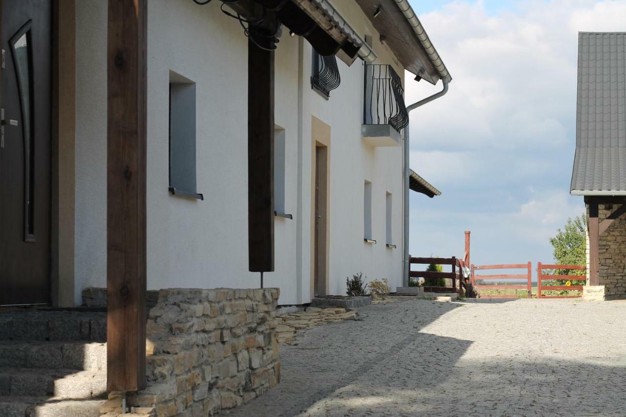 Вилла Ranczo- Czarnocin Olszowa Экстерьер фото